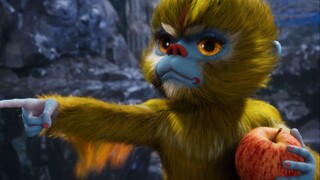 真不愧是韩阴岛，等级森严，一物降一物