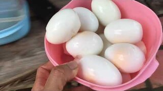 Thịt Kho Trứng Vịt | Món Ăn Dân Dã Miền Quê