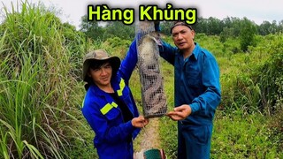 Thu Hoạch Bẫy Rắn Cùng Team Săn Bắt Ẩm Thực Vùng Cao Bất Ngờ Kiếm Được Hàng Khủng|Phương QN