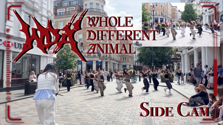【aespa - WDA (Whole Different Animal)】Tarian ulang di roadshow London | Versi sudut pandang orang aw