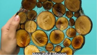 cuộc sống quanh ta p1 #mytivi