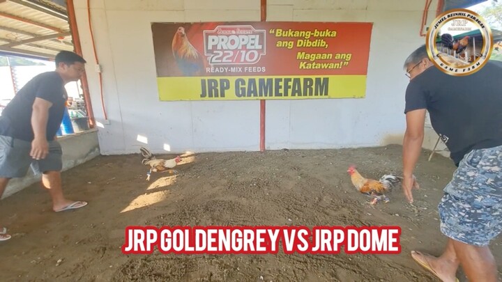 Gilmore sweater, Goldenboy Gilmore ,5K Goldenboy  AEJ line  vs JRP lines!