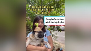 Top những điều khiến tôi hạnh phúcdog doglover chomeo dogmom chomeodethuong onhavanvui giadinh yeuchomeo chota govap hanhphuc giupdo