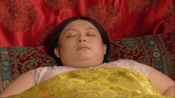 胖 嬛 传