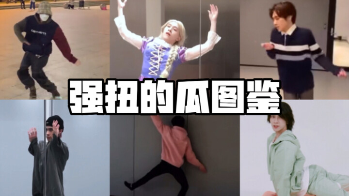 "رقصة الساحة على البطيخ" (بمشاركة ليو يانغ يانغ)