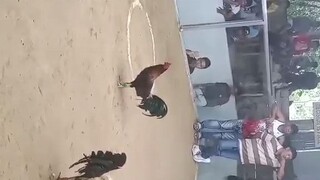 win magaling din kalaban swertehan lang