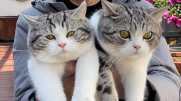 I wonder if someone as mischievous as him, who’s always smearing himself all over with dirt, can sti