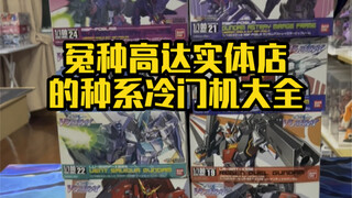 The wronged Gundam physical store! Purple heresy? Fubuki’s will? Vanguard savior? Nebula Thunder? A 