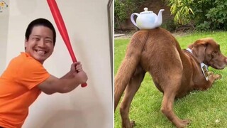 การโจมตีของสุนัขตลก วิดีโอที่ดีที่สุดเกี่ยวกับสุนัข 12