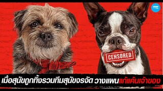 เมื่อสุนัขถูกทิ้งรวมทีมสุนัขจรจัดวางแผนแก้แค้นเจ้าของ #สปอยหนัง Strays