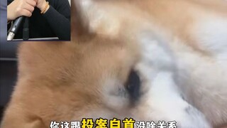 มอบตัวเอง