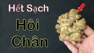 Cách chữa hôi chân vĩnh viễn tại nhà chỉ với 1 củ gừng tươi, cả đời không phải lo hôi chân