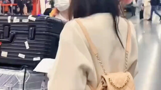 竹林四侠北海团综 你们四个是真的火了 接机场面十分震撼