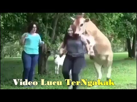 Video Lucu TerNgakak/hiburan Warga 62