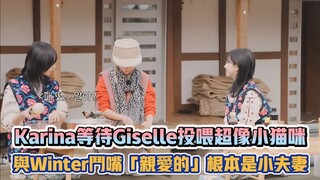 aespa Karina等待Giselle投喂超像小貓咪 與Winter鬥嘴「親愛的」根本是小夫妻| [K-潮流]