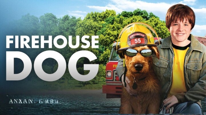 Firehouse Dog