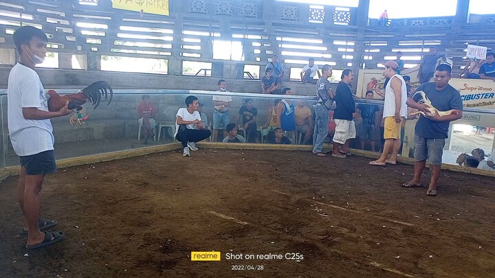 Fastest Kill 🔥🐓 Tinroy Backyard