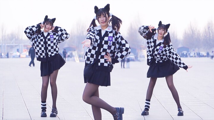 เวอร์ชั่นหูแมวของเพลง Jingle Bells อุณหภูมิ -4 องศาเซลเซียส~