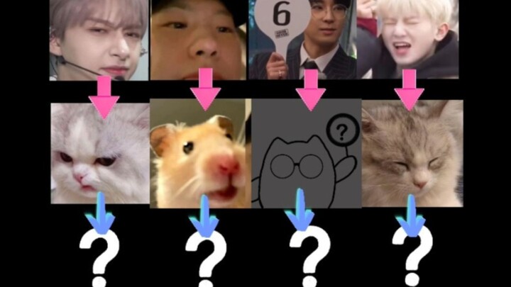 【SEVENTEEN】Cực và cực trong thế giới tạo hình động vật cấp quốc gia | 96line