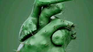 看看不一样的心脏