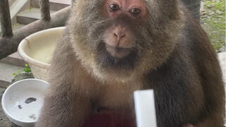 Speechless, everyone! I ran into such a loser first thing this morning.