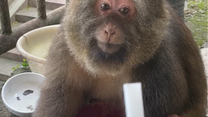 لا أجد ما أقوله يا رفاق، صادفتُ صباحًا رجلًا مزعجًا.