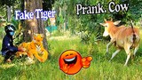 Try Not To Laugh Fake Tiger vs Cow Prank Very Funny Video Of The Day - Best Prank Video