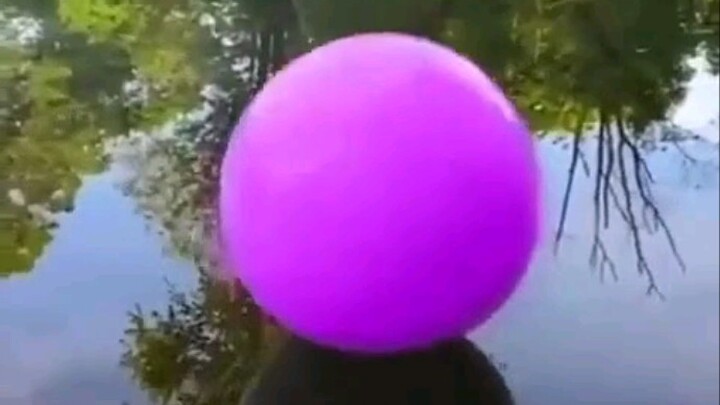 Genuine Rainbow Flattery