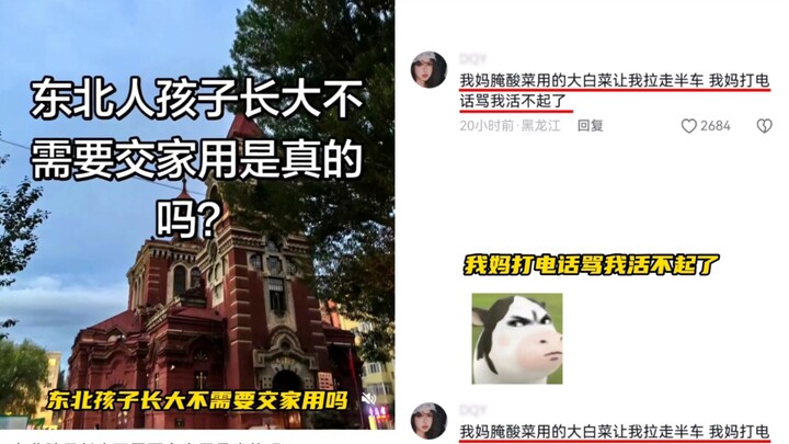 Cư dân mạng xôn xao bàn tán: Trẻ con ở Đông Bắc không phải đóng tiền sinh hoạt, bố mẹ nói: “Chỉ cần 