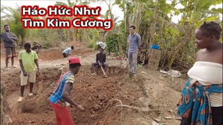 Tập 291||Nhũng anh chàng châu Phi háo hức chuẩn bị xây nhà mới?||2Q vlogs cuộc sống châu phi