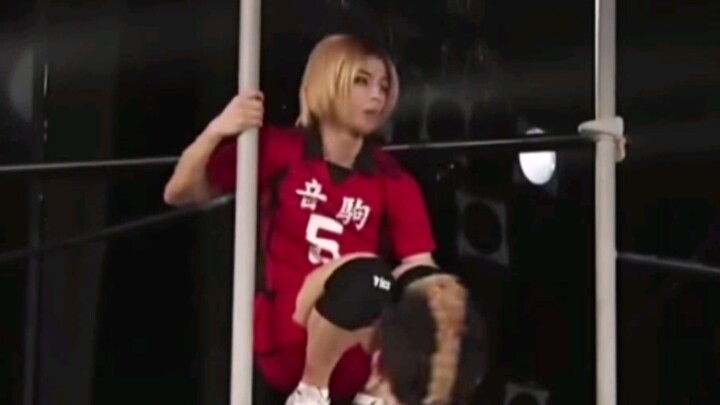 [رقص جماعي] منصة تسلق القطط اللطيفة