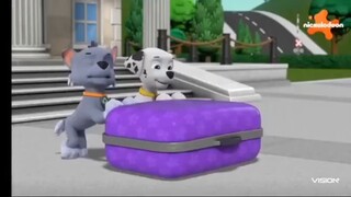 Paw Patrol Musim 8 Episode 9 dan Episode 10 Bahasa Indonesia Vision+