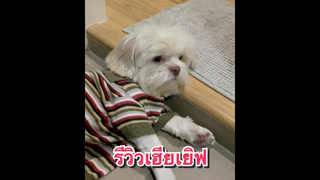 หล่อจริงงงงงงนะอึ้ย😁