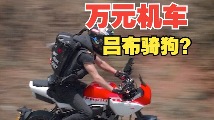 «خليك قوي يا بو-تسي» مجموعة الدراجات النارية بسعر حوالي 10 آلاف يوان مؤخرًا | الجزء 173 من معرض الدر