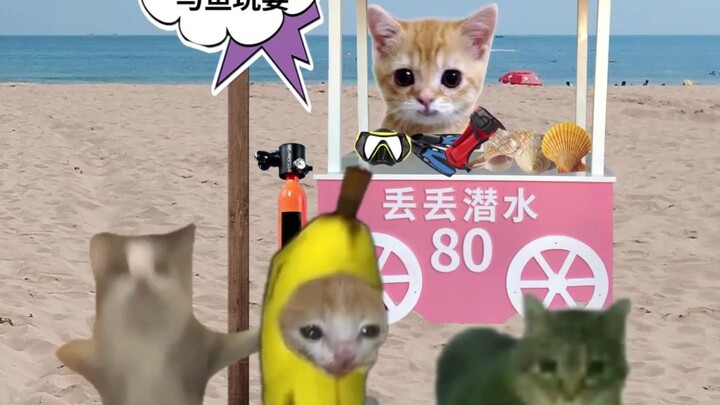 Banana Cat and Friends Dive Together!