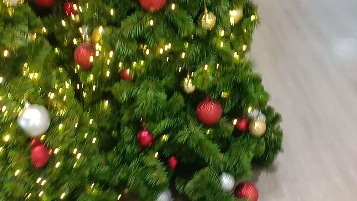 #Cây thông Noel, cảnh tượng ngoạn mục nhất của #Trung Ayutthaya