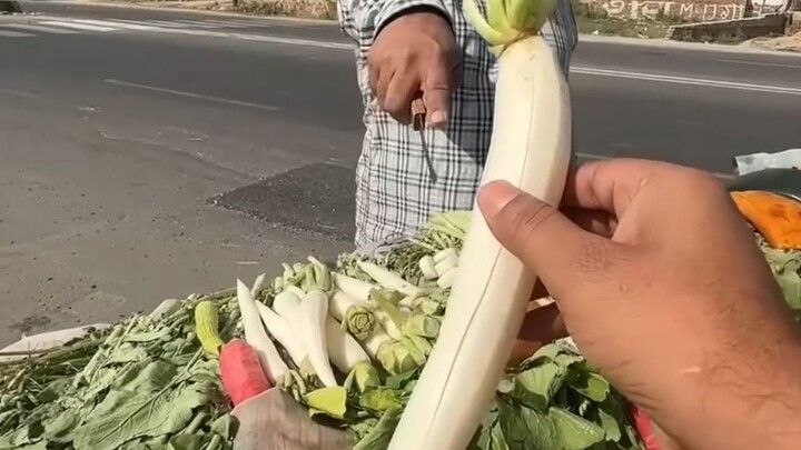 Put down that carrot—I’m going to scratch your scales.