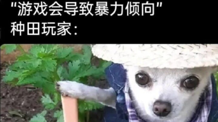 沙雕梗图150