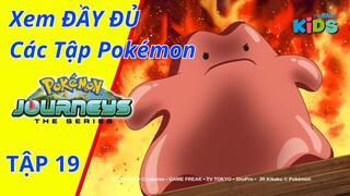 POKEMON JOURNEYS | Tập 19: Tôi là Metamon!! | tvBlue KIDS | Lồng Tiếng Việt