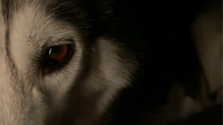 It's just in my nature.