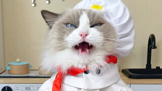 🐱 Trik masakan ajaib～Meong～