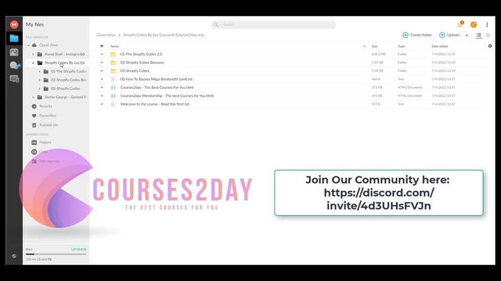 Shopify Codex By Lea Gucciardi
