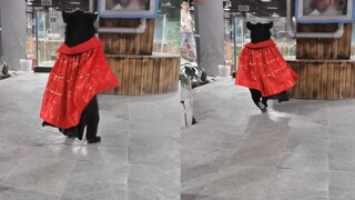Beruang hitam kecil itu mengenakan jubah dan berlari sepanjang jalan, dengan penjaga mengejar dari d