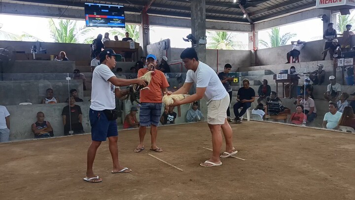 AG x SB (LOSE) (san andres quezon cockpit arena)