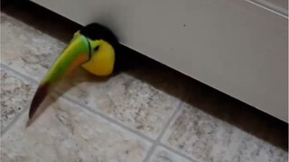 Hey handsome, are you using the restroom alone?