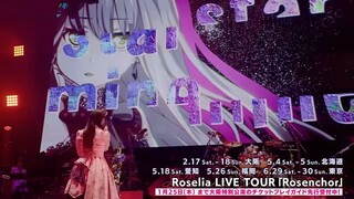 Roselia - 熱色スターマイン
