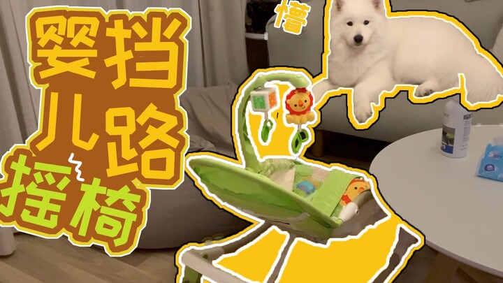 Kẹo dẻo Samoyed bị chiếc ghế lắc của em trai chắn đường, hết cách đành tìm lối đi khác; Kẹo dẻo: Tớ 