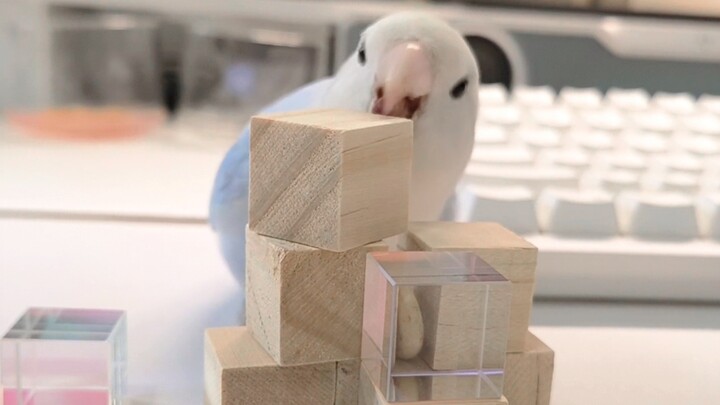 Hero Saves the Princess in the Tower × Evil Dragon Saves the Treasure in the Tower✓