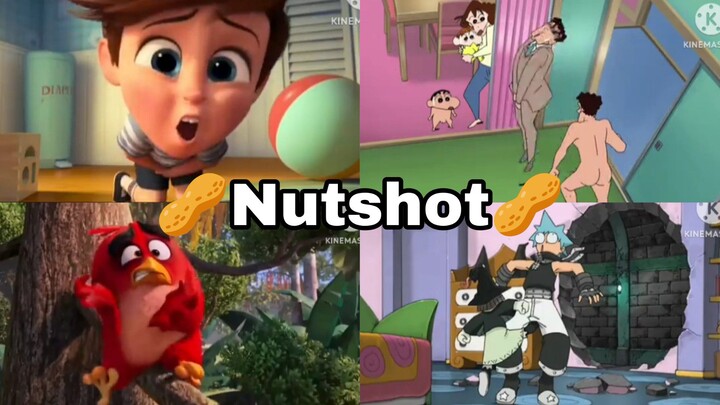🥜Nutshot🥜 Compilation By EJA
