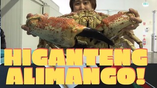 Eating World's Largest Crab Worth $1500 (Reaction Video)